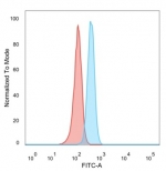 FACS staining of PFA-fixed human HeLa cells with SOX4 antibody (blue, clone PCRP-SOX4-1D6), and unstained cells (red).