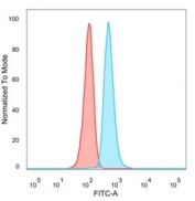 FACS staining of PFA-fixed human HeLa cells with L-Myc antibody (blue, clone PCRP-MYCL-2D5) and isotype control (red).