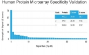 Analysis of HuProt(TM) microarray containing more than 19,000 full-length human proteins using L-Myc antibody (clone PCRP-MYCL-2D5). These results demonstrate the foremost specificity of the PCRP-MYCL-2D5 mAb. Z- and S- score: The Z-score represents the strength of a signal that an antibody (in combination with a fluorescently-tagged anti-IgG secondary Ab) produces when binding to a particular protein on the HuProt(TM) array. Z-scores are described in units of standard deviations (SD's) above the mean value of all signals generated on that array. If the targets on the HuProt(TM) are arranged in descending order of the Z-score, the S-score is the difference (also in units of SD's) between the Z-scores. The S-score therefore represents the relative target specificity of an Ab to its intended target.