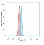 FACS staining of PFA-fixed human HeLa cells with PBX2 antibody (blue, clone PCRP-PBX2-1C4) and isotype control (red).