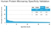 Analysis of HuProt(TM) microarray containing more than 19,000 full-length human proteins using PRMT7 antibody (clone PCRP-PRMT7-1A4). These results demonstrate the foremost specificity of the PCRP-PRMT7-1A4 mAb. Z- and S- score: The Z-score represents the strength of a signal that an antibody (in combination with a fluorescently-tagged anti-IgG secondary Ab) produces when binding to a particular protein on the HuProt(TM) array. Z-scores are described in units of standard deviations (SD's) above the mean value of all signals generated on that array. If the targets on the HuProt(TM) are arranged in descending order of the Z-score, the S-score is the difference (also in units of SD's) between the Z-scores. The S-score therefore represents the relative target specificity of an Ab to its intended target.