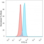 FACS staining of PFA-fixed human HeLa cells with PRMT7 antibody (blue, clone PCRP-PRMT7-1A7), and unstained cells (red).