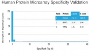 Analysis of HuProt(TM) microarray containing more than 19,000 full-length human proteins using Migfilin-1 antibody (clone FBLIM1/4600). These results demonstrate the foremost specificity of the FBLIM1/4600 mAb. Z- and S- score: The Z-score represents the strength of a signal that an antibody (in combination with a fluorescently-tagged anti-IgG secondary Ab) produces when binding to a particular protein on the HuProt(TM) array. Z-scores are described in units of standard deviations (SD's) above the mean value of all signals generated on that array. If the targets on the HuProt(TM) are arranged in descending order of the Z-score, the S-score is the difference (also in units of SD's) between the Z-scores. The S-score therefore represents the relative target specificity of an Ab to its intended target.