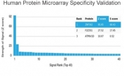 Analysis of HuProt(TM) microarray containing more than 19,000 full-length human proteins using ZNF562 antibody (clone PCRP-ZNF562-1A1). These results demonstrate the foremost specificity of the PCRP-ZNF562-1A1 mAb. Z- and S- score: The Z-score represents the strength of a signal that an antibody (in combination with a fluorescently-tagged anti-IgG secondary Ab) produces when binding to a particular protein on the HuProt(TM) array. Z-scores are described in units of standard deviations (SD's) above the mean value of all signals generated on that array. If the targets on the HuProt(TM) are arranged in descending order of the Z-score, the S-score is the difference (also in units of SD's) between the Z-scores. The S-score therefore represents the relative target specificity of an Ab to its intended target.