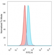 FACS staining of PFA-fixed human HeLa cells with ERK2 antibody (blue, clone PCRP-MAPK1-1D1), and unstained cells (red).