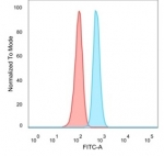 FACS staining of PFA-fixed human HeLa cells with SRF antibody (blue, clone PCRP-SRF-1F1) and isotype control (red).