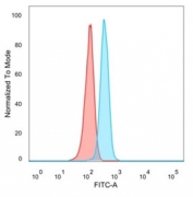 FACS staining of PFA-fixed human HeLa cells with ZNF704 antibody (blue, clone PCRP-ZNF704-3C10) and isotype control (red).