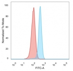FACS staining of PFA-fixed human HeLa cells with RXRG antibody (blue, clone PCRP-RXRG-5G6) and isotype control (red).