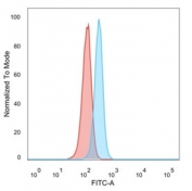 FACS staining of PFA-fixed human HeLa cells with RXR gamma antibody (blue, clone PCRP-RXRG-5H4) and isotype control (red).