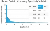 Analysis of HuProt(TM) microarray containing more than 19,000 full-length human proteins using MED22 antibody (clone PCRP-MED22-2A7). These results demonstrate the foremost specificity of the PCRP-MED22-2A7 mAb. Z- and S- score: The Z-score represents the strength of a signal that an antibody (in combination with a fluorescently-tagged anti-IgG secondary Ab) produces when binding to a particular protein on the HuProt(TM) array. Z-scores are described in units of standard deviations (SD's) above the mean value of all signals generated on that array. If the targets on the HuProt(TM) are arranged in descending order of the Z-score, the S-score is the difference (also in units of SD's) between the Z-scores. The S-score therefore represents the relative target specificity of an Ab to its intended target.