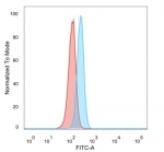 FACS staining of PFA-fixed human HeLa cells with CBF beta antibody (blue, clone PCRP-CBFB-1E6) and isotype control (red).