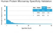 Analysis of HuProt(TM) microarray containing more than 19,000 full-length human proteins using CBF beta antibody (clone PCRP-CBFB-1E6). These results demonstrate the foremost specificity of the PCRP-CBFB-1E6 mAb. Z- and S- score: The Z-score represents the strength of a signal that an antibody (in combination with a fluorescently-tagged anti-IgG secondary Ab) produces when binding to a particular protein on the HuProt(TM) array. Z-scores are described in units of standard deviations (SD's) above the mean value of all signals generated on that array. If the targets on the HuProt(TM) are arranged in descending order of the Z-score, the S-score is the difference (also in units of SD's) between the Z-scores. The S-score therefore represents the relative target specificity of an Ab to its intended target.