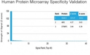 Analysis of HuProt(TM) microarray containing more than 19,000 full-length human proteins using HDAC3 antibody (clone PCRP-HDAC3-3C9). These results demonstrate the foremost specificity of the PCRP-HDAC3-3C9 mAb. Z- and S- score: The Z-score represents the strength of a signal that an antibody (in combination with a fluorescently-tagged anti-IgG secondary Ab) produces when binding to a particular protein on the HuProt(TM) array. Z-scores are described in units of standard deviations (SD's) above the mean value of all signals generated on that array. If the targets on the HuProt(TM) are arranged in descending order of the Z-score, the S-score is the difference (also in units of SD's) between the Z-scores. The S-score therefore represents the relative target specificity of an Ab to its intended target.