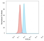 FACS staining of PFA-fixed human HeLa cells with ZNF276 antibody (blue, clone PCRP-ZNF276-1A5), and unstained cells (red).