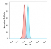 FACS staining of PFA-fixed human HeLa cells with FOXQ1 antibody (blue, clone PCRP-FOXQ1-2D2), and unstained cells (red).