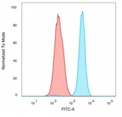 FACS staining of PFA-fixed human K562 cells with QKI antibody (blue, clone PCRP-QKI-2F10) and isotype control (red).