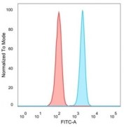 FACS staining of PFA-fixed human HeLa cells with QKI antibody (blue, clone PCRP-QKI-2F10) and isotype control (red).