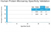 Analysis of HuProt(TM) microarray containing more than 19,000 full-length human proteins using QKI antibody (clone PCRP-QKI-2F10). These results demonstrate the foremost specificity of the PCRP-QKI-2F10 mAb. Z- and S- score: The Z-score represents the strength of a signal that an antibody (in combination with a fluorescently-tagged anti-IgG secondary Ab) produces when binding to a particular protein on the HuProt(TM) array. Z-scores are described in units of standard deviations (SD's) above the mean value of all signals generated on that array. If the targets on the HuProt(TM) are arranged in descending order of the Z-score, the S-score is the difference (also in units of SD's) between the Z-scores. The S-score therefore represents the relative target specificity of an Ab to its intended target.