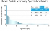 Analysis of HuProt(TM) microarray containing more than 19,000 full-length human proteins using CD35 antibody (clone CR1/6385). These results demonstrate the foremost specificity of the CR1/6385 mAb. Z- and S- score: The Z-score represents the strength of a signal that an antibody (in combination with a fluorescently-tagged anti-IgG secondary Ab) produces when binding to a particular protein on the HuProt(TM) array. Z-scores are described in units of standard deviations (SD's) above the mean value of all signals generated on that array. If the targets on the HuProt(TM) are arranged in descending order of the Z-score, the S-score is the difference (also in units of SD's) between the Z-scores. The S-score therefore represents the relative target specificity of an Ab to its intended target.