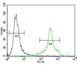 HLA-DQA1 antibody flow cytometric analysis of NCI-H460 cells (green) compared to a negative control cell (blue). FITC-conjugated goat-anti-rabbit secondary Ab was used for the analysis.