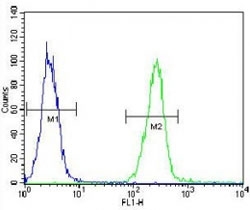 AARS2 antibody flow cytometric analysis of K562 cells (right histogram) compared to a negative control cell (left histogram). FITC-conjugated goat-anti-rabbit secondary Ab was used for the analysis.