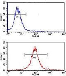 Flow cytometric analysis of NCI-H460 cells using SOX2 antibody (bottom histogram) compared to a negative control cell (top histogram). PE-conjugated goat-anti-mouse secondary Ab was used for the analysis.