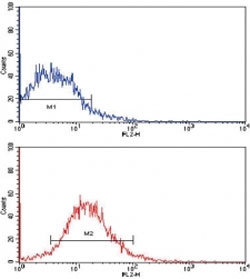Flow cytometric analysis of HepG2 cells using EPHB2 antibody (red) compared to a negative control (blue). PE-conjugated goat-anti-mouse secondary Ab was used for the analysis.