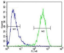 ABCC10 antibody flow cytometric analysis of HepG2 cells (right histogram) compared to a <a href=../search_result.php?search_txt=n1001>negative control</a> (left histogram). FITC-conjugated goat-anti-rabbit secondary Ab was used for the analysis.