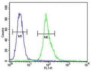 AKT1 antibody flow cytometric analysis of MDA-MB435 cells (right histogram) compared to a negative control (left histogram). FITC-conjugated goat-anti-rabbit secondary Ab was used for the analysis.