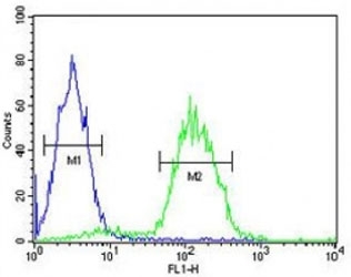CD34 antibody flow cytometric analysis of Jurkat cells (right histogram) compared to a negative control cell (left histogram). FITC-conjugated goat-anti-rabbit secondary Ab was used for the analysis.