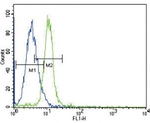 JAK2 antibody flow cytometric analysis of K562 cells (green) compared to a negative control (blue). FITC-conjugated goat-anti-rabbit secondary Ab was used for the analysis.