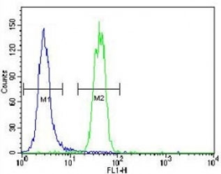 SUMO1 antibody flow cytometric analysis of HeLa cells (green) compared to a&nbsp;<a href=../search_result.php?search_txt=n1001>negative control</a>&nbsp;(blue).