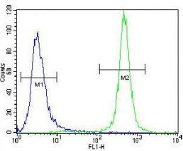 MST1 antibody flow cytometric analysis of NCI-H460 cells (green) compared to a<a href=../search_result.php?search_txt=n1001>negative control</a>(blue). FITC-conjugated goat-anti-rabbit secondary Ab was used for the analysis.