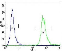 WDR3 antibody flow cytometric analysis of HeLa cells (green) compared to a <a href=../search_result.php?search_txt=n1001>negative control</a> (blue). FITC-conjugated goat-anti-rabbit secondary Ab was used for the analysis.