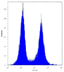 CD27 antibody flow cytometric analysis of Ramos cells (right histogram) compared to a <a href=../search_result.php?search_txt=n1001>negative control</a> (left histogram). FITC-conjugated donkey-anti-rabbit secondary Ab was used for the analysis.