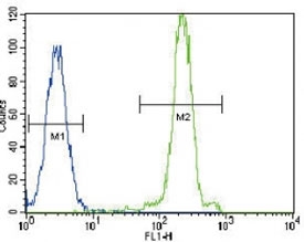 Lipoprotein Lipase Antibody HeLa Cell FACS. Flow cytometric analysis of HeLa cells using Lipoprotein Lipase Antibody demonstrates a pronounced rightward shift of the positive cell population (green) relative to the negative control (blue), consistent with expression of Lipoprotein Lipase (LPL). LPL is a key enzyme involved in triglyceride hydrolysis, fatty acid mobilization, and lipid utilization, facilitating the release of free fatty acids from circulating lipoproteins for cellular uptake and metabolic activity. Detection of LPL by flow cytometry supports its role in cellular lipid handling and nutrient utilization pathways. FITC-conjugated goat anti-rabbit secondary antibody was used for signal detection.