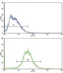 Flow cytometric analysis of HepG2 cells using ALDH1A1 antibody (green) compared to a negative control (blue). FITC-conjugated goat-anti-rabbit secondary Ab was used for the analysis.
