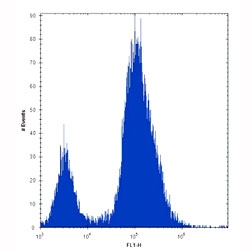 Alkaline Phosphatase antibody flow cytometric analysis of 293 cells (right histogram) compared to a negative control (left histogram). FITC-conjugated goat-anti-rabbit secondary Ab was used for the analysis.