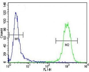 ATF3 antibody flow cytometric analysis of CEM cells (right histogram) compared to a negative control (left histogram). FITC-conjugated goat-anti-rabbit secondary Ab was used for the analysis.