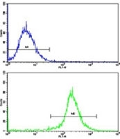 Flow cytometric analysis of HepG2 cells using Nestin antibody (bottom histogram) compared to a negative control cell (top histogram). FITC-conjugated goat-anti-rabbit secondary Ab was used for the analysis.