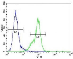 MeCP2 antibody flow cytometric analysis of MDA-MB435 cells (green) compared to a <a href=../search_result.php?search_txt=n1001>negative control</a> (blue). FITC-conjugated goat-anti-rabbit secondary Ab was used for the analysis.