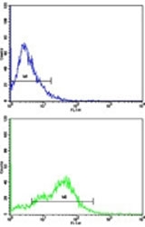 Flow cytometric analysis of HepG2 cells using CD38 antibody (bottom histogram) compared to a negative control cell (top histogram). FITC-conjugated goat-anti-rabbit secondary Ab was used for the analysis.