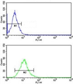 CD166 antibody flow cytometric analysis of NCI-H292 cells (green) compared to a negative control (blue). FITC-conjugated goat-anti-rabbit secondary Ab was used for the analysis.