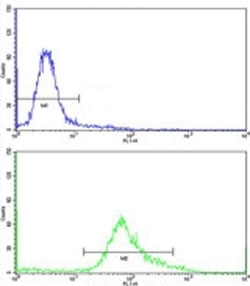 Phosphoglycerate Dehydrogenase Antibody HeLa Cell FACS. Flow cytometry testing of human HeLa cells with Phosphoglycerate Dehydrogenase Antibody. FITC-conjugated goat anti-rabbit IgG was used for detection. Green histogram represents PHGDH antibody staining and blue histogram represents the negative control. Phosphoglycerate Dehydrogenase Antibody / PGDH Antibody demonstrates detection of endogenous PHGDH expression and supports studies of serine biosynthesis, amino acid metabolism and metabolic enzyme regulation pathways.