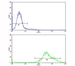Flow cytometric analysis of K562 cells using PAX3 antibody (bottom histogram) compared to a negative control (top histogram)