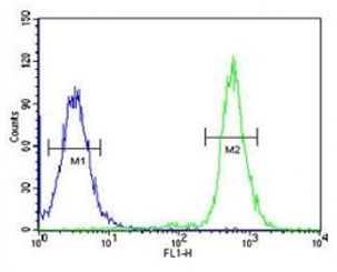A2ML1 antibody flow cytometric analysis of 293 cells (right histogram) compared to a <a href=../search_result.php?search_txt=n1001>negative control</a> (left histogram). FITC-conjugated goat-anti-rabbit secondary Ab was used for the analysis.