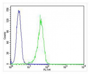 FACS testing of fixed and permeabilized human HL-60 cells with CD63 antibody at 1:25 dilution. Blue = isotype control, Green = CD63 antibody.
