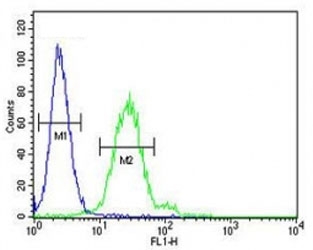 Anti-EpCAM antibody flow cytometric analysis of 293 cells (right histogram) compared to a negative control cell (left histogram). FITC-conjugated goat-anti-rabbit secondary Ab was used for the analysis.