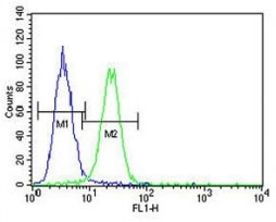 XRCC1 antibody flow cytometric analysis of A375 cells (green) compared to a <a href=