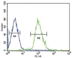 Beta III Tubulin antibody flow cytometric analysis of HepG2 cells (right histogram) compared to a negative control cell (left histogram). FITC-conjugated goat-anti-rabbit secondary Ab was used for the analysis.